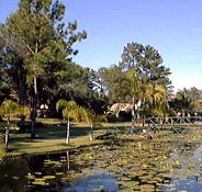 Twin Lakes Hotel - Hotel Gold Coast