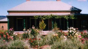 Apple Tree Flat NSW Hotel Gold Coast