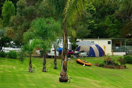 Albany Happy Days Caravan Park - Hotel Gold Coast 2