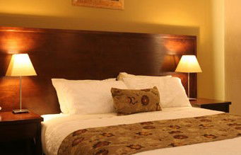 Whale Motor Inn - Hotel Gold Coast 1