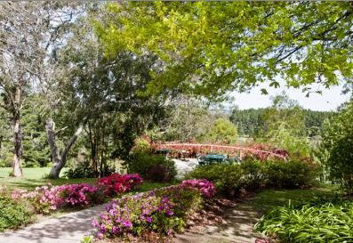 Bilpin Resort - Hotel Gold Coast 2