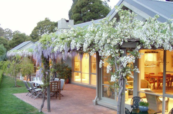 Mount Tomah NSW Hotel Gold Coast