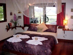 Daintree Cloud 9 - Hotel Gold Coast 0