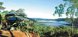 Daintree Cloud 9 - Hotel Gold Coast 1