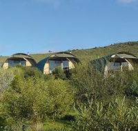 Saunders Gorge Sanctuary - Lodges - Hotel Gold Coast