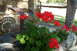 Adelaide Hills Country Cottages - Gum Tree Cottage - Hotel Gold Coast 3