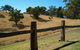 Adelaide Hills Country Cottages - Gum Tree Cottage - thumb 4