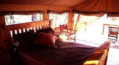 Jabiru Safari Lodge At Mareeba Wetlands - Hotel Gold Coast 1
