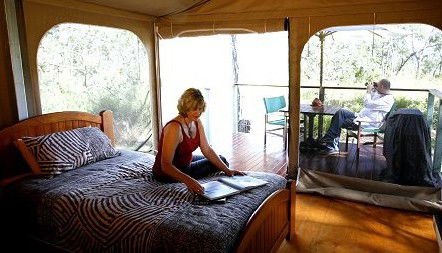 Jabiru Safari Lodge At Mareeba Wetlands - Hotel Gold Coast 2