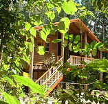 Rivers Edge Rainforest Retreat - Hotel Gold Coast