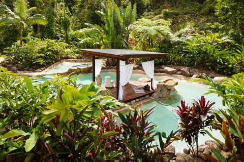 Misty Mountains Tropical Rainforest Romantic Retreat - Hotel Gold Coast 3