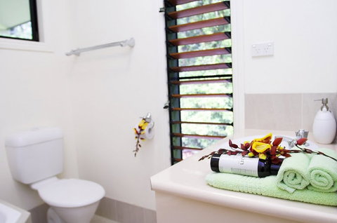 Misty Mountains Tropical Rainforest Romantic Retreat - Hotel Gold Coast 5