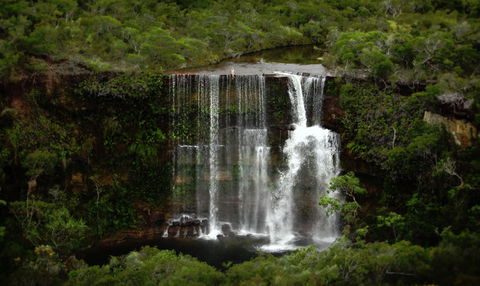 Haggerstone Island Guest House - Hotel Gold Coast 5