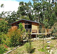 Southern Forest Accommodation - Hotel Gold Coast