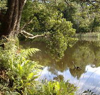 Weldborough Camping Ground - Hotel Gold Coast