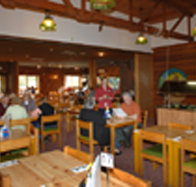 Seabrook Hotel Motel - Hotel Gold Coast