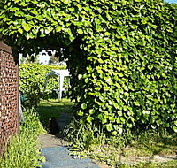 Kirra Guest House - Hotel Gold Coast