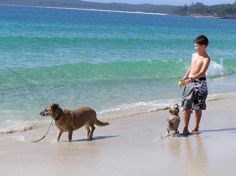 A Paradise Bungalow Waterfront - Hotel Gold Coast 1