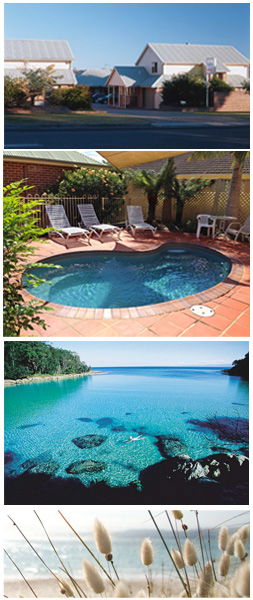Dolphin Shores Motor Inn - Hotel Gold Coast 1