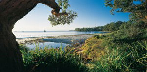 Dolphin Shores Motor Inn - Hotel Gold Coast 2