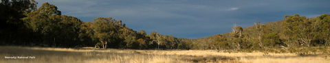 Namadgi National Park - Hotel Gold Coast 0