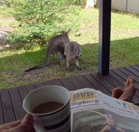 Bush and Bay Cottage - Hotel Gold Coast