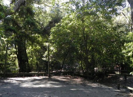 Booderee National Park: Green Patch Camping Area - Hotel Gold Coast 0