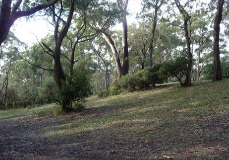 Booderee National Park: Green Patch Camping Area - Hotel Gold Coast 3
