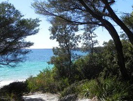 Booderee National Park: Bristol Point Camping Area - Hotel Gold Coast 2