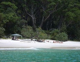 Booderee National Park: Bristol Point Camping Area - Hotel Gold Coast 3