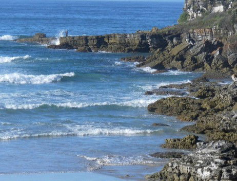 Booderee National Park: Cave Beach Camping Area - Hotel Gold Coast 2