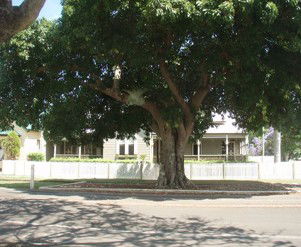 Annies Bed And Breakfast Grafton - Hotel Gold Coast 3