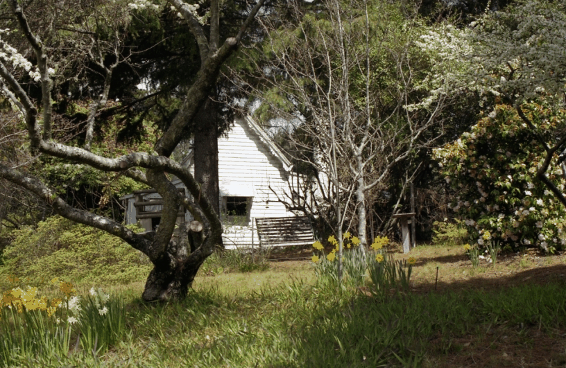 Avoca Cottage - Hotel Gold Coast 3