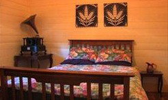 Saltbush Retreat - Hotel Gold Coast 2