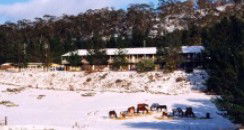 Cooba Holiday Motel - Hotel Gold Coast 2
