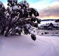 Kosciuszko Chalet Hotel - Hotel Gold Coast