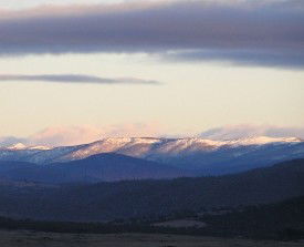 Snowy View Cottage - Hotel Gold Coast 2