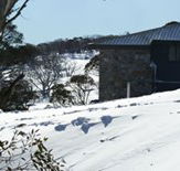 Barina Milpara Lodge - Hotel Gold Coast