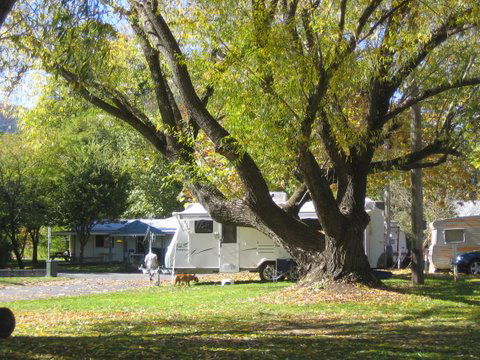 Tumbarumba Creek Caravan Park - Hotel Gold Coast 0