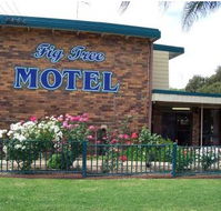 Fig Tree Motel - Hotel Gold Coast