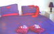 Aloomba Lavender - Accommodation - thumb 0
