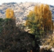 Birches Bed and Breakfast at Nundle - Hotel Gold Coast