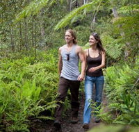 Blackheath Glen Tourist Park - Hotel Gold Coast