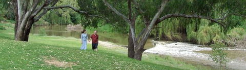 Apex Riverside Tourist Park - Hotel Gold Coast 4