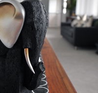 Alexandra Apartments - Hotel Gold Coast