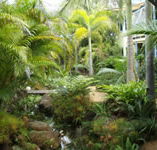 Chamomile Bed and Breakfast - Hotel Gold Coast