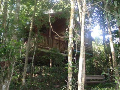 Adjinbilly Rainforest Retreat Cabins - Hotel Gold Coast 0