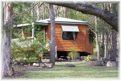 Queen Mary Falls Caravan Park And Cabins - Hotel Gold Coast 1