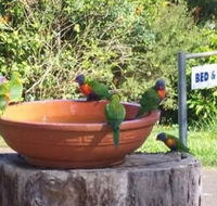 Lamb Island Bed and Breakfast - Hotel Gold Coast