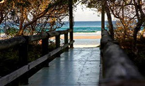 Anchorage Beachfront Island Resort - Hotel Gold Coast 4